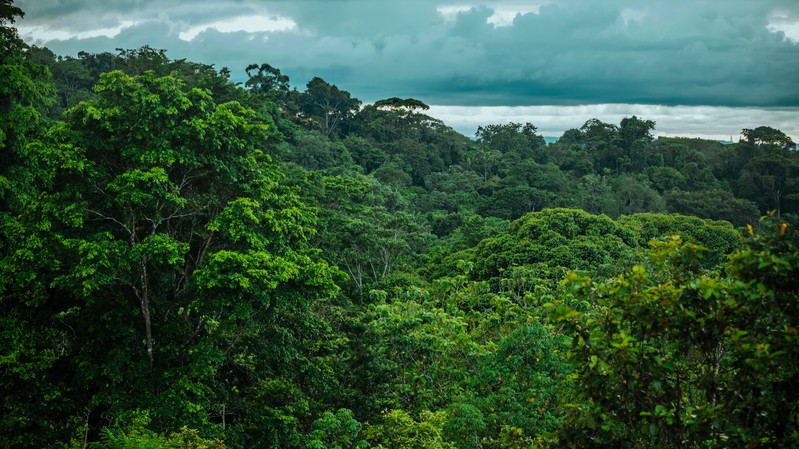 Landschaft Panamas