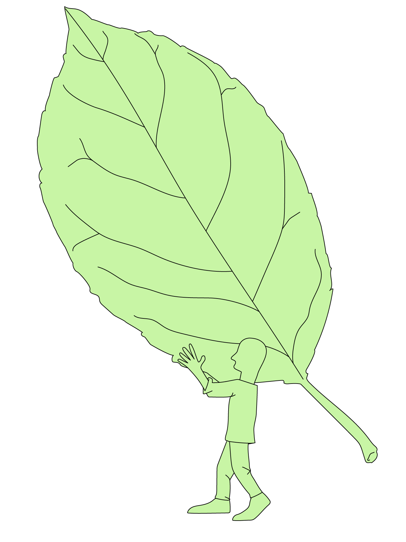 Illustration de « Absorber davantage de gaz à effet de serre »