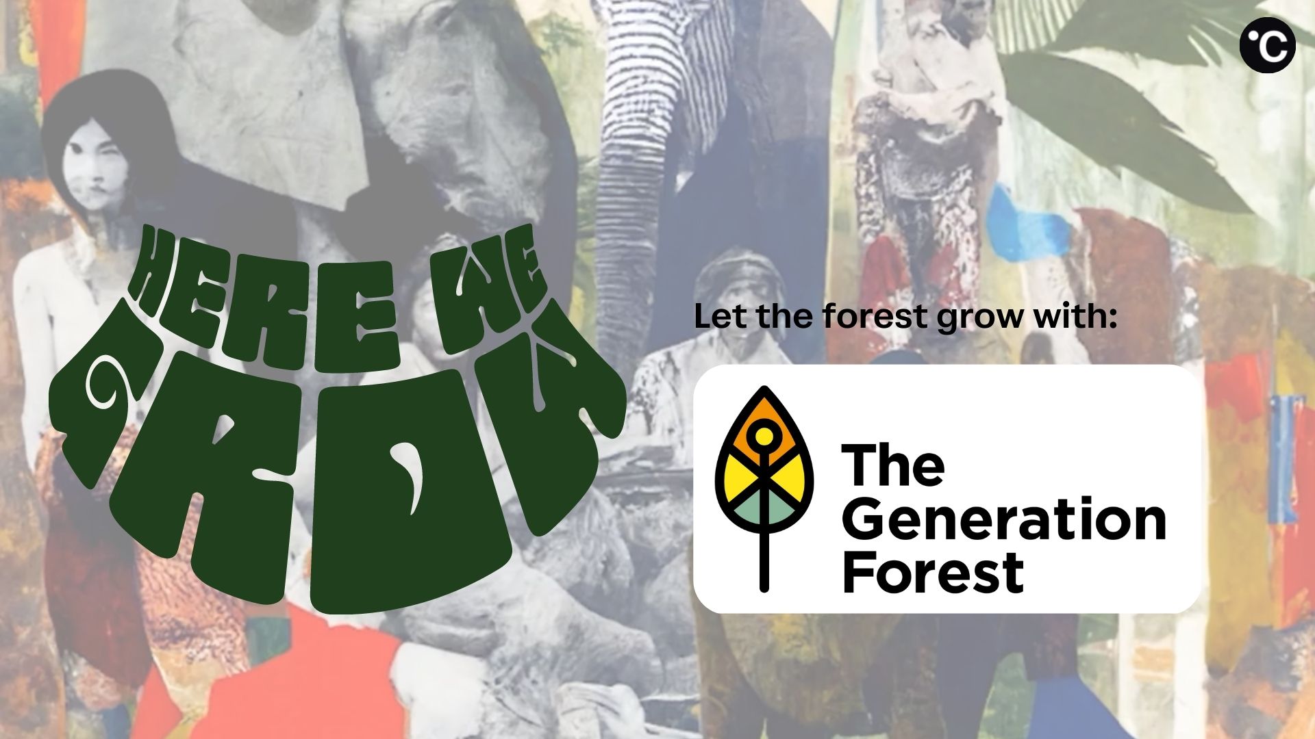Illustration von «Mit Musikhören den Regenwald zum Wachsen bringen»