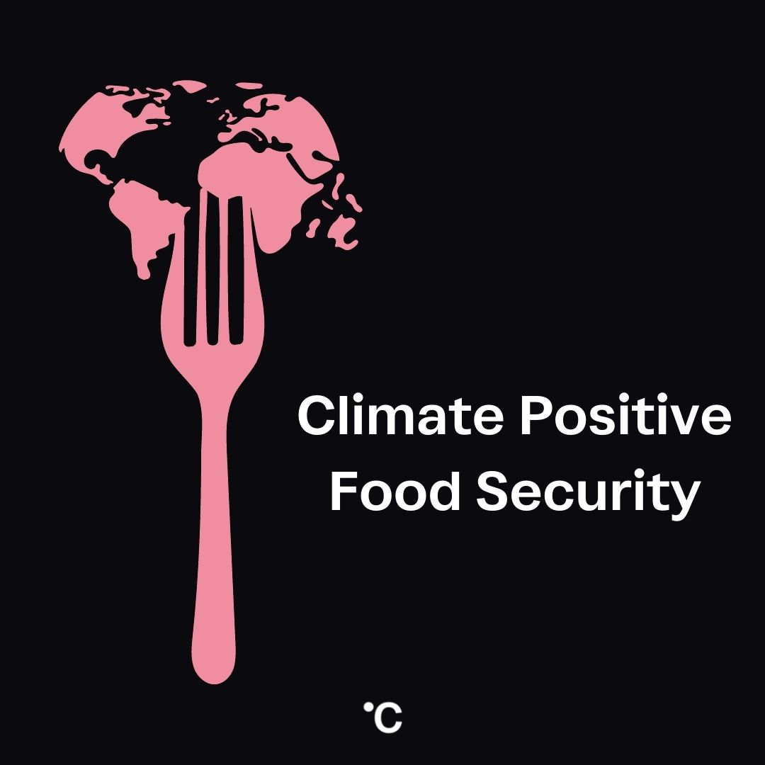 Illustration von «Fokus: Climate-positive Food Security»