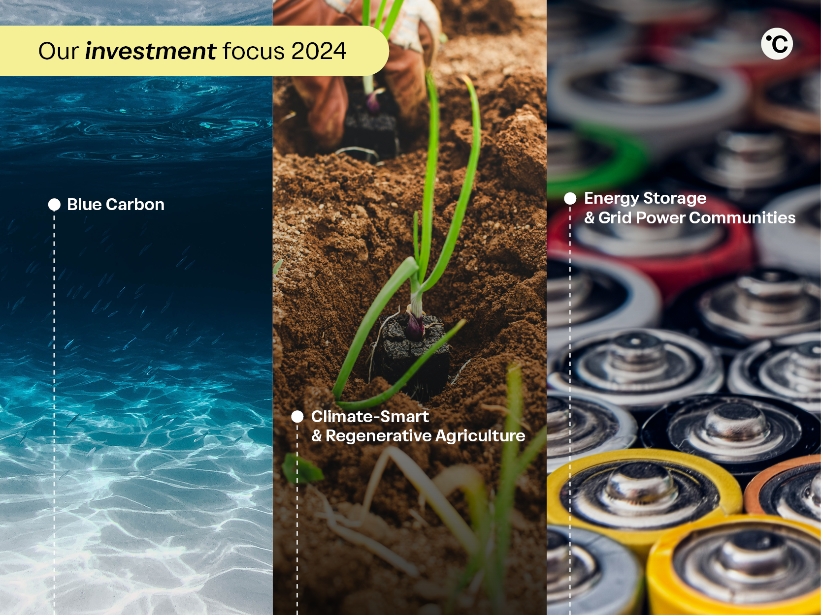 Illustration of «Our investment focus 2024»