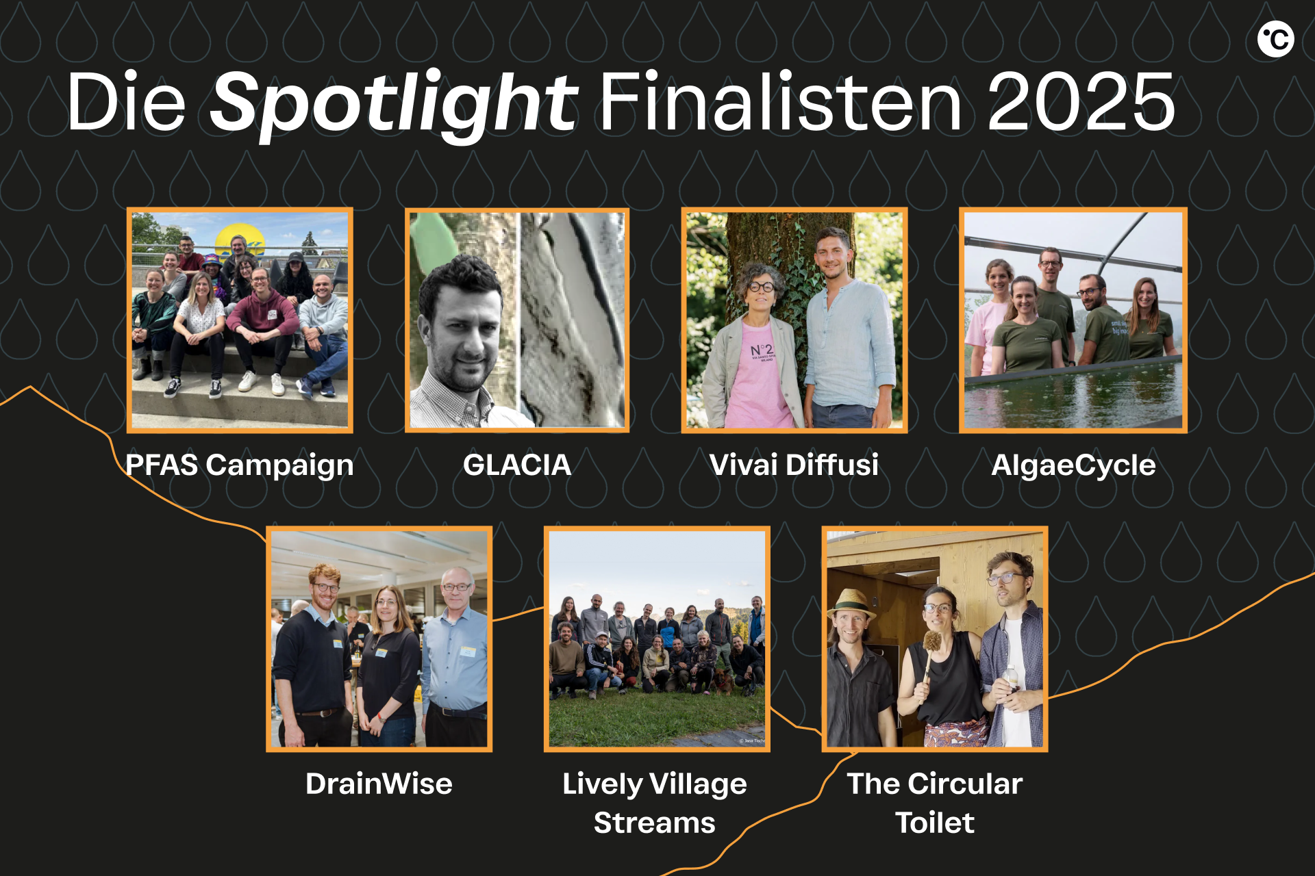 Illustration von «Unsere Spotlight Finalisten stehen fest!»