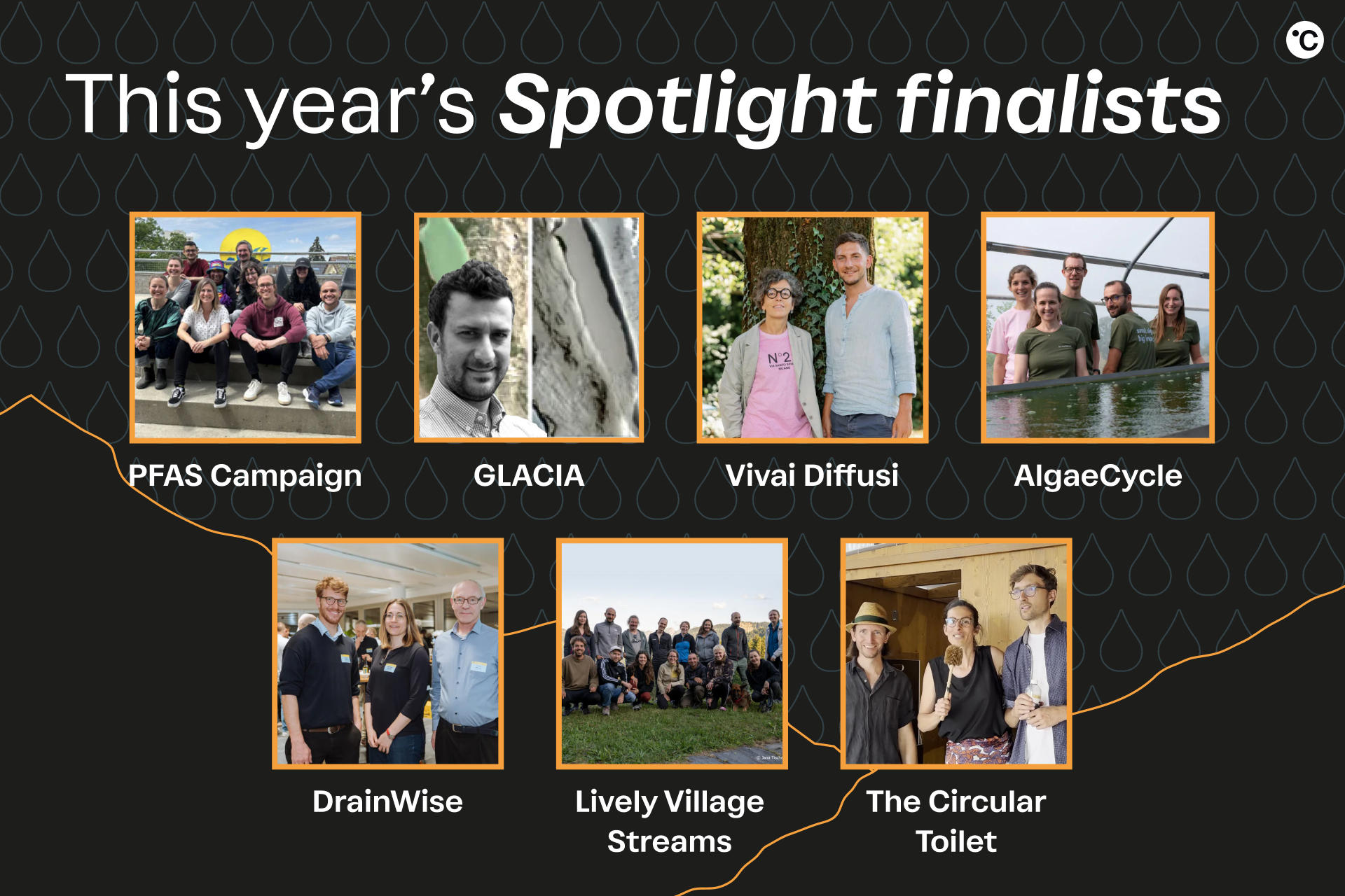 Illustration of «The Spotlight finalists have been selected!»